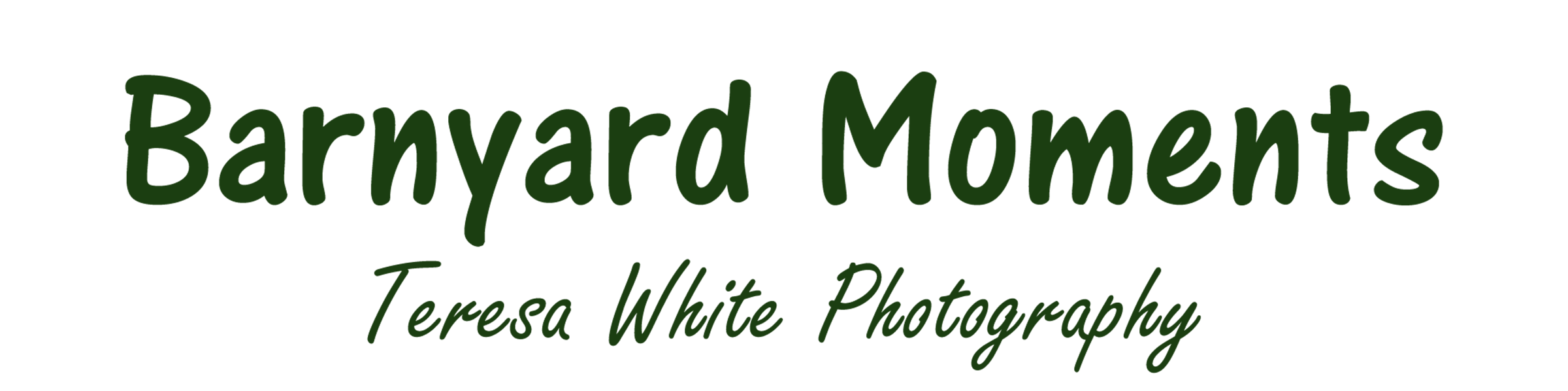 Farm Animal Photography & Greeting Cards for Sale in NJ | Barnyard Moments